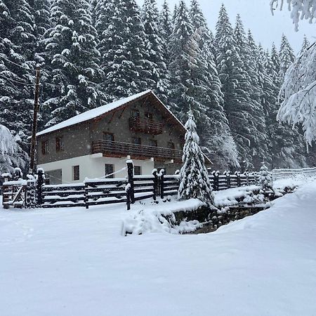 Chiba Chalet Timisu de Jos Exteriér fotografie