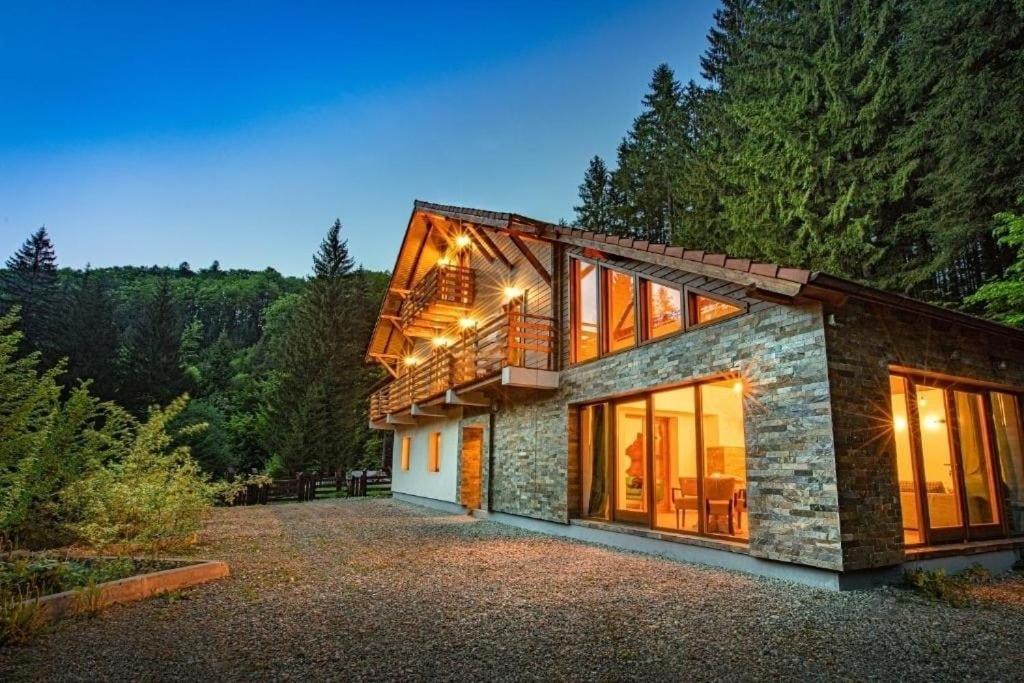 Chiba Chalet Timisu de Jos Exteriér fotografie