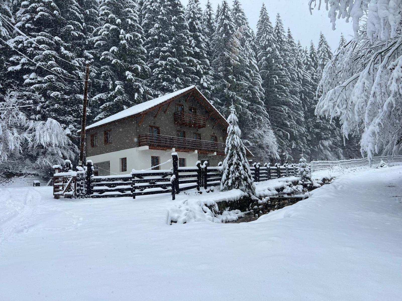 Chiba Chalet Timisu de Jos Exteriér fotografie
