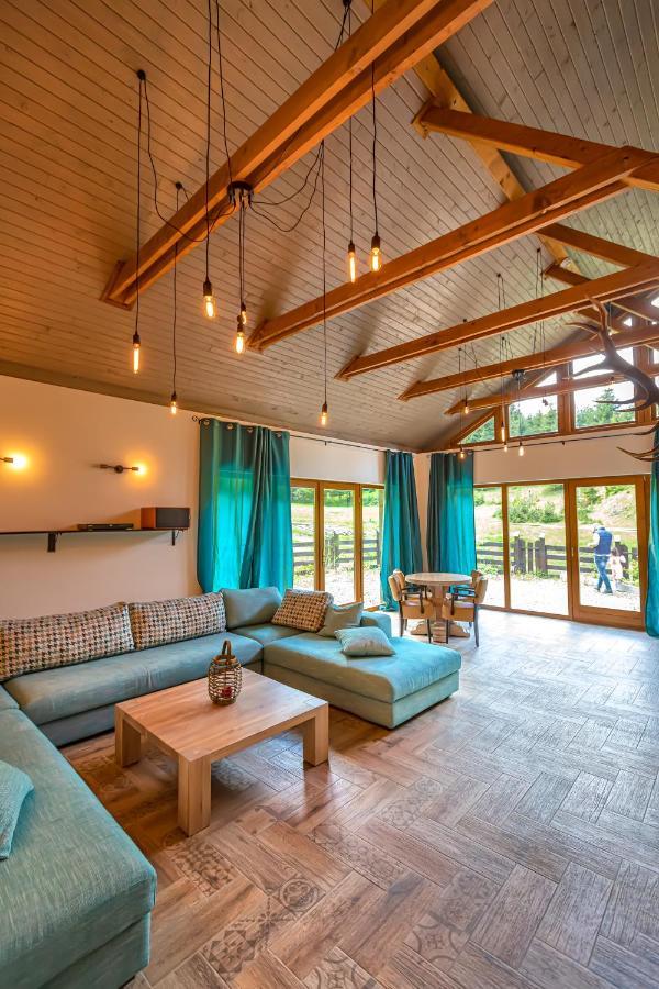 Chiba Chalet Timisu de Jos Exteriér fotografie